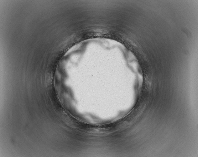 X0000113990657200910161648