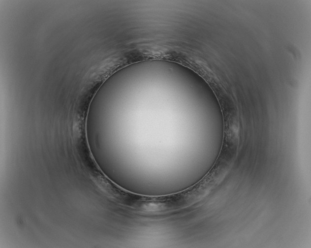 X0000113990658200910161648