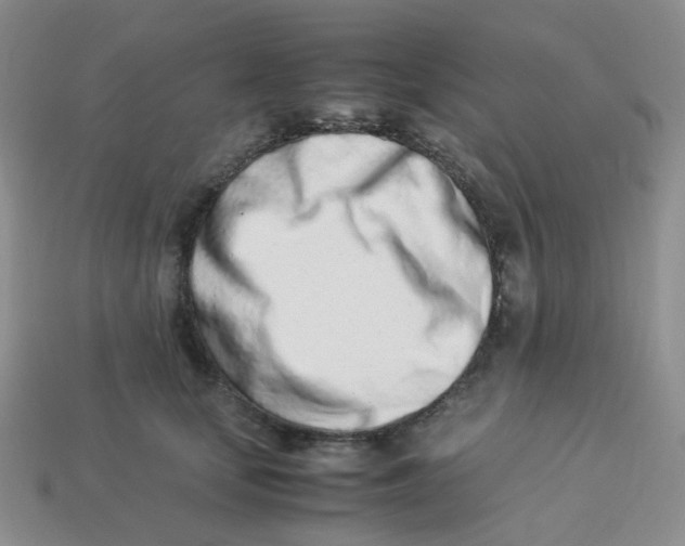 X0000113990659200910161648