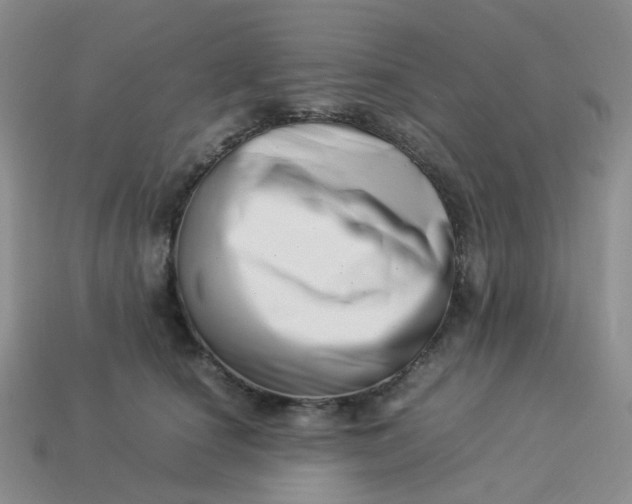 X0000113990660200910161648