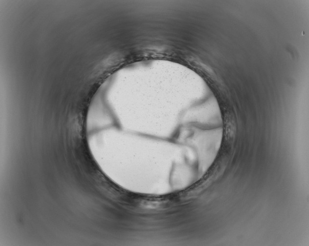 X0000113990661200910161648