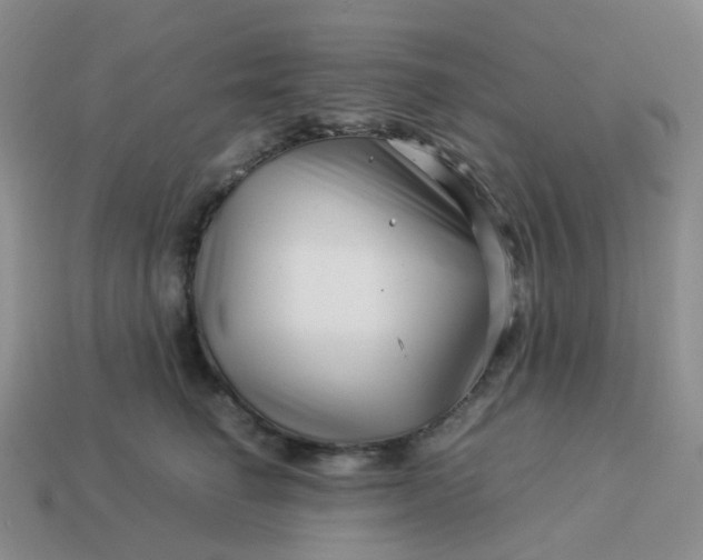 X0000113990662200910161648