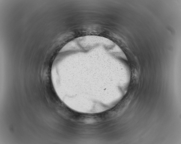 X0000113990663200910161648