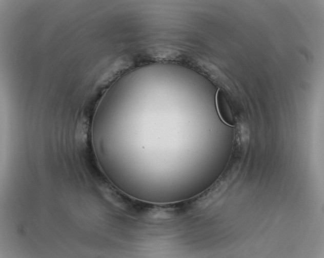 X0000113990664200910161648