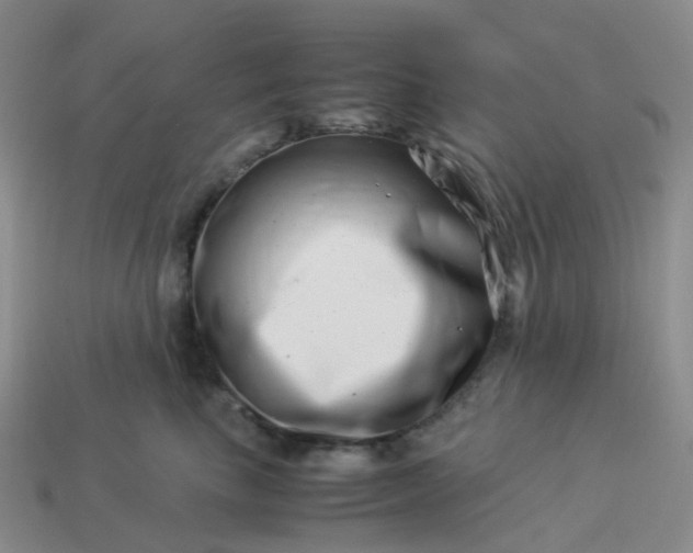 X0000113990665200910161648