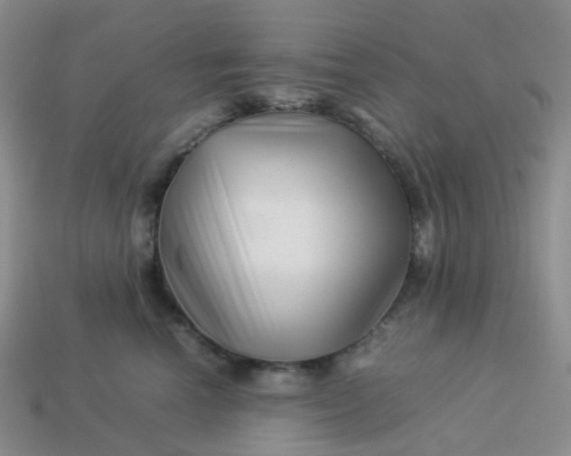 X0000113990666200910161648