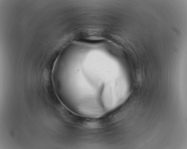 X0000113990667200910161648