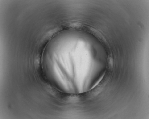 X0000113990668200910161648