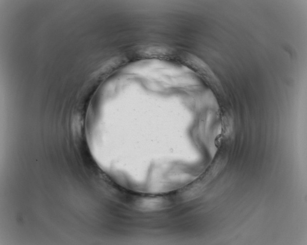 X0000113990669200910161648