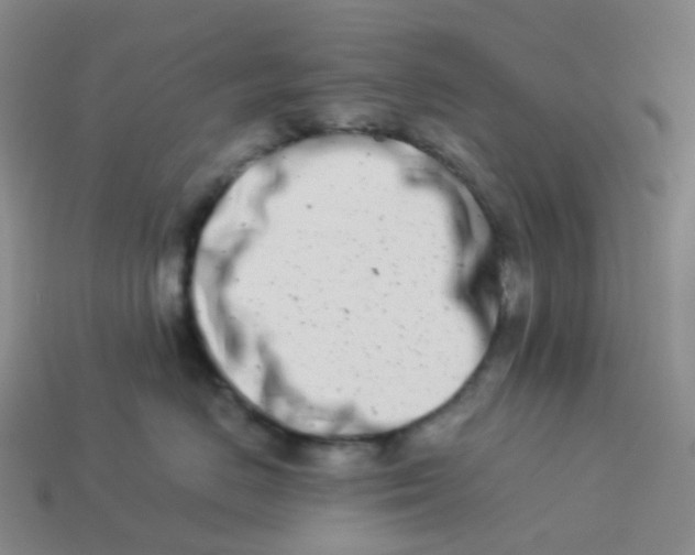 X0000113990670200910161648