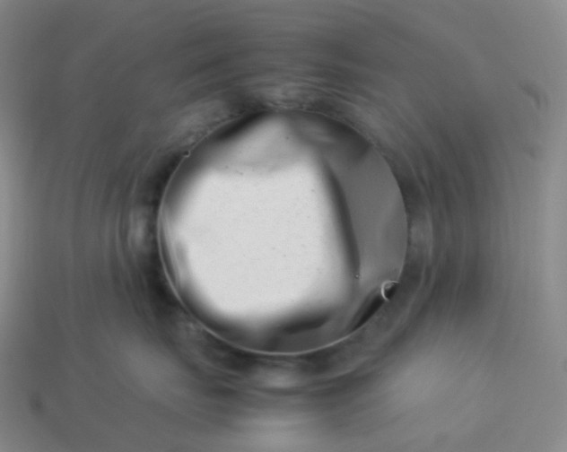 X0000113990671200910161648