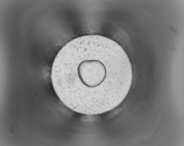 X0000113990672200910161648