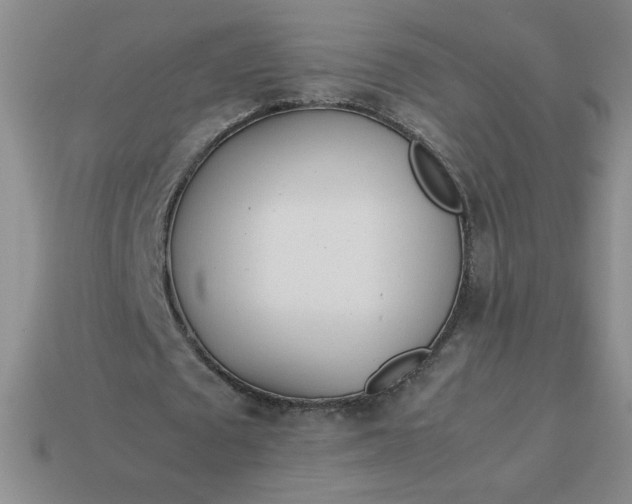 X0000113990673200910161647