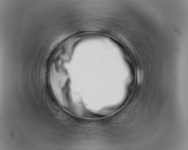 X0000113990675200910161647