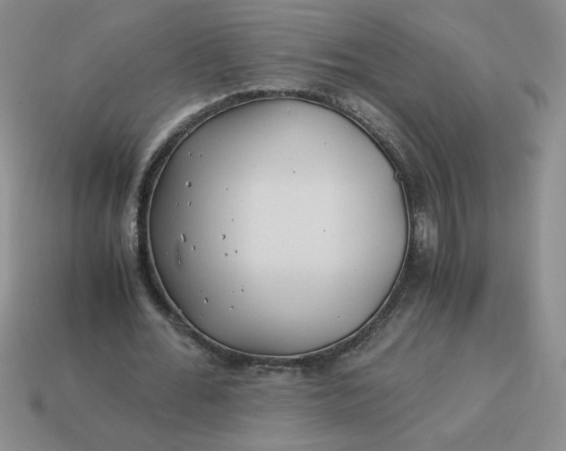 X0000113990676200910161647