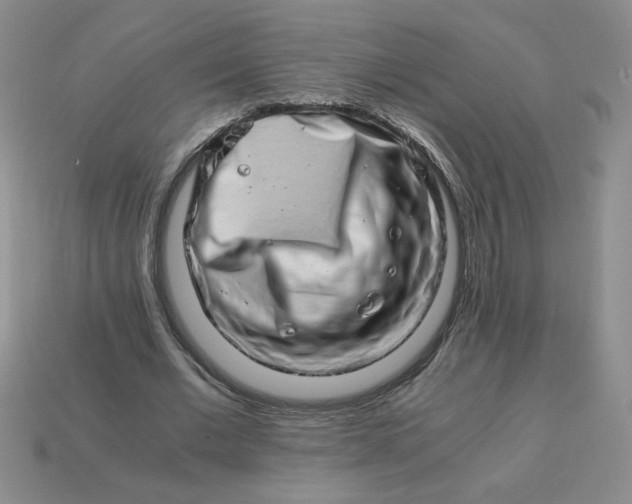 X0000113990677200910161647