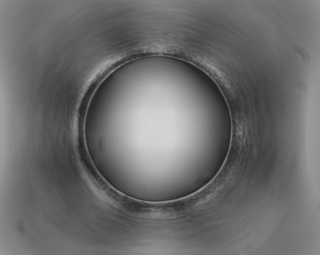 X0000113990678200910161647