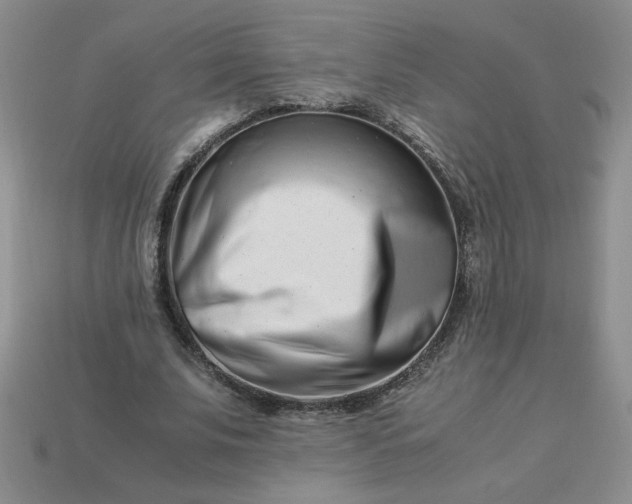 X0000113990679200910161647