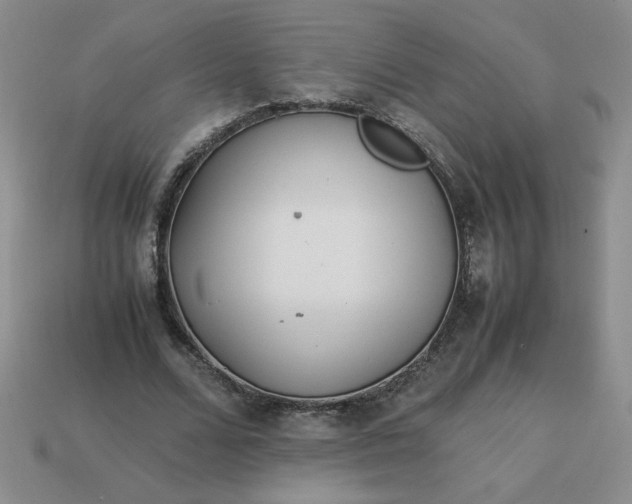 X0000113990680200910161647