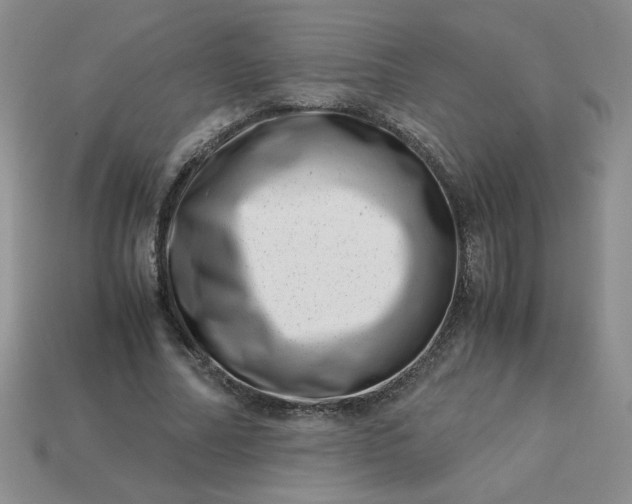 X0000113990682200910161647