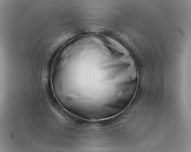 X0000113990683200910161647