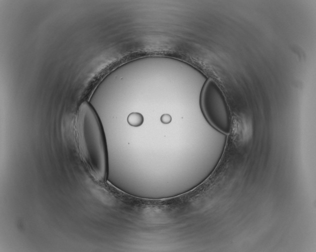 X0000113990684200910161647