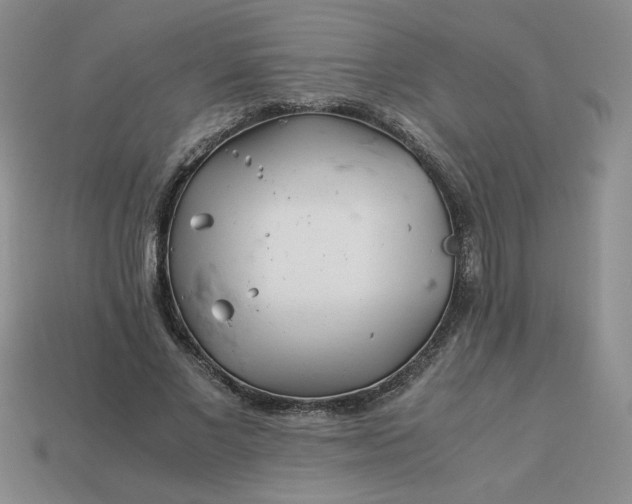 X0000113990685200910161647