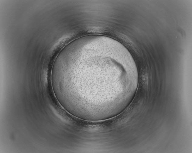 X0000113990686200910161647