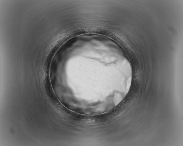 X0000113990687200910161647