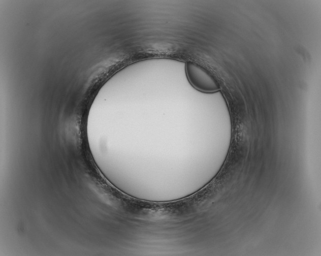 X0000113990688200910161647