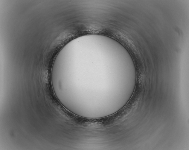 X0000113990689200910161647