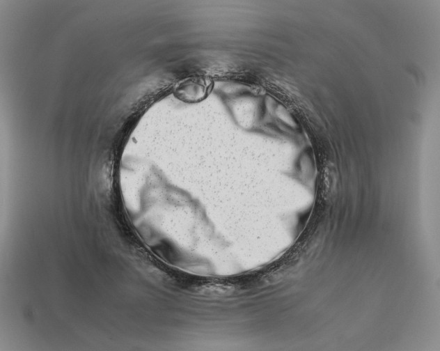 X0000113990691200910161647