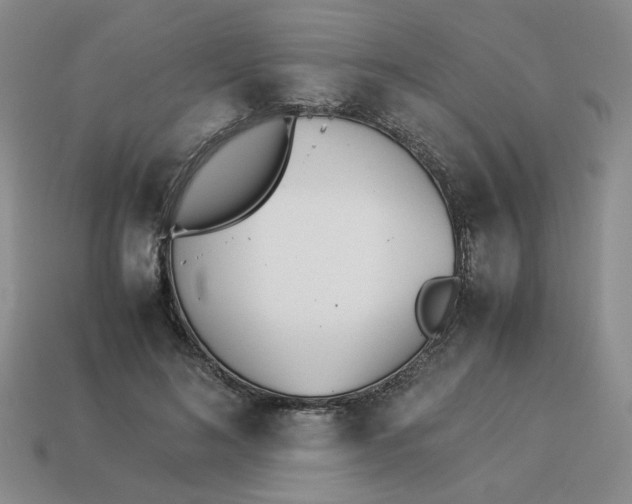 X0000113990692200910161647