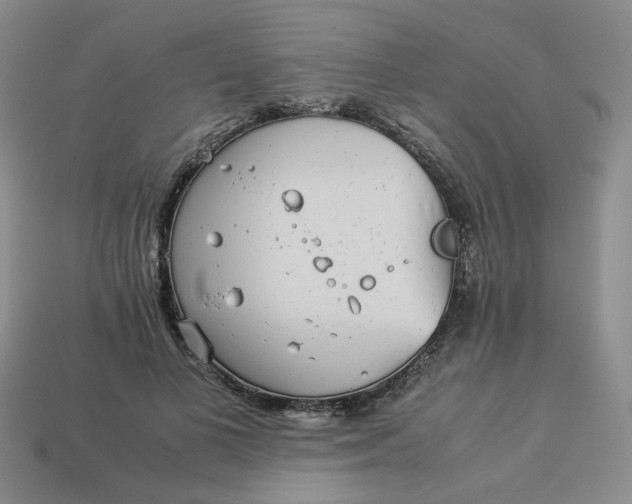 X0000113990693200910161647