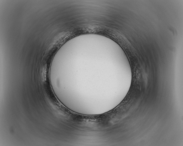 X0000113990694200910161647