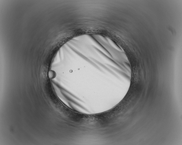 X0000113990695200910161647