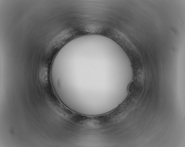 X0000113990696200910161647