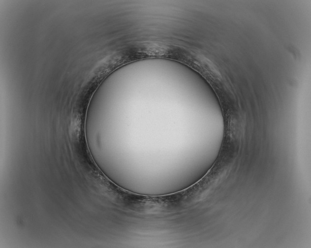 X0000113990697200910161647