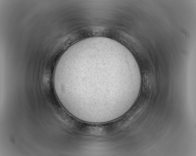 X0000113990698200910161647