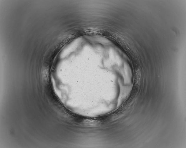 X0000113990699200910161647