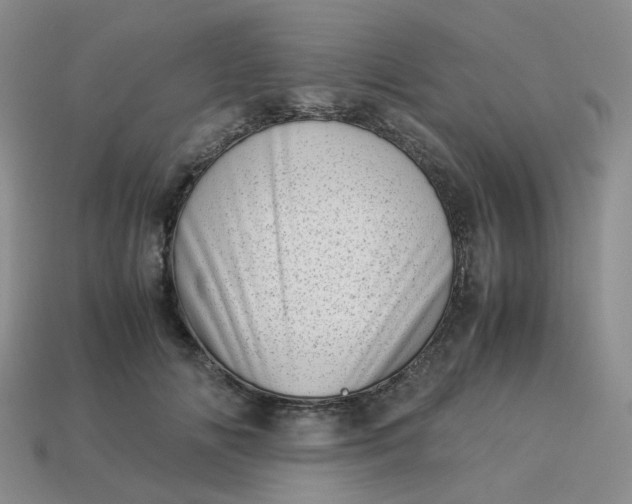 X0000113990702200910161647