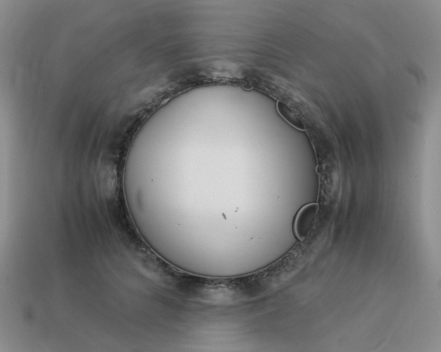 X0000113990704200910161647