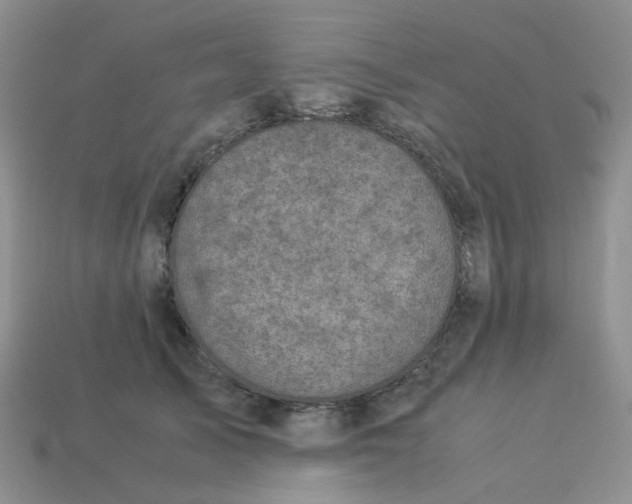 X0000113990705200910161647