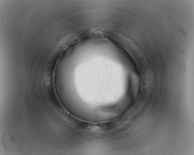 X0000113990706200910161647