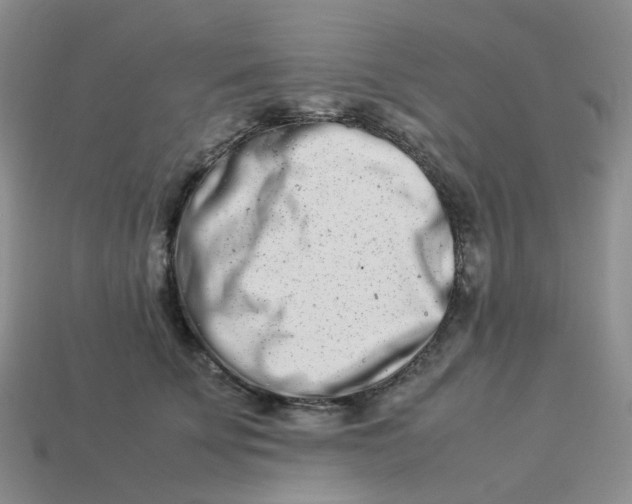 X0000113990707200910161647