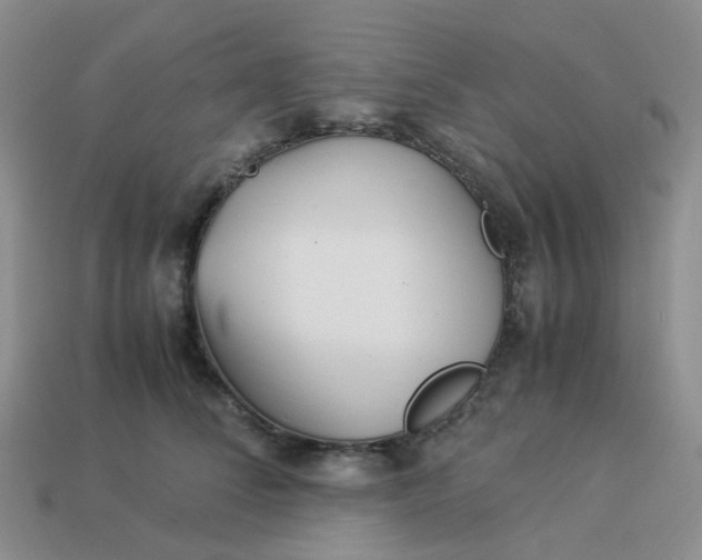 X0000113990708200910161647