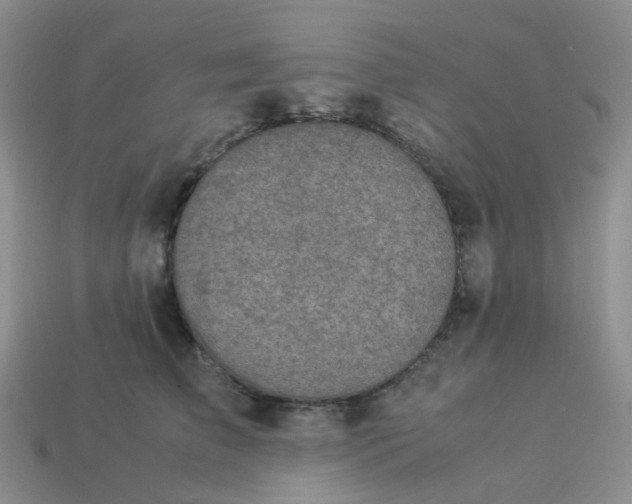 X0000113990709200910161647