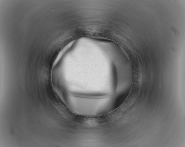 X0000113990710200910161647