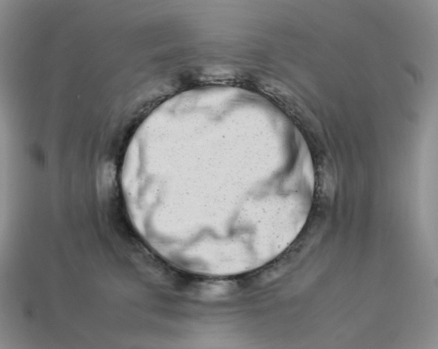 X0000113990711200910161647