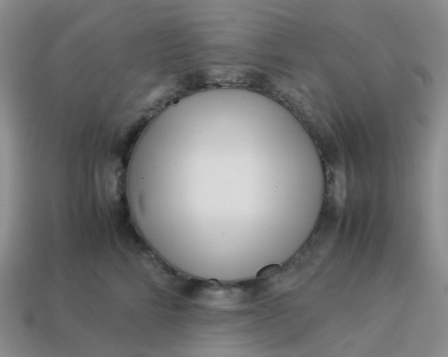 X0000113990712200910161647